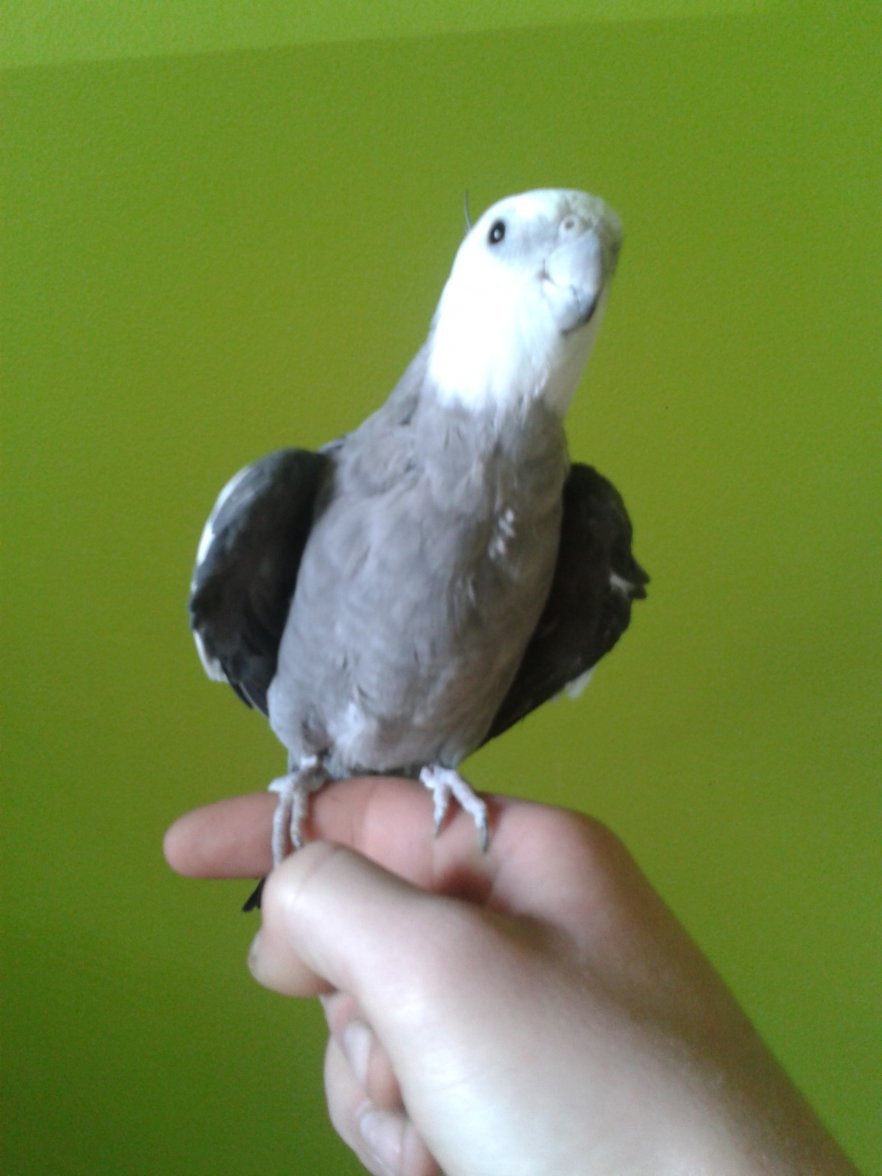 2012-09-29 13.13.45.jpg 2012-09-29 13.13.45.jpg