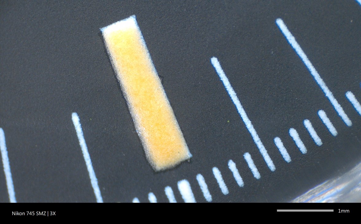 Image_20151009_092620192.jpeg Image_20151009_092620192.jpeg