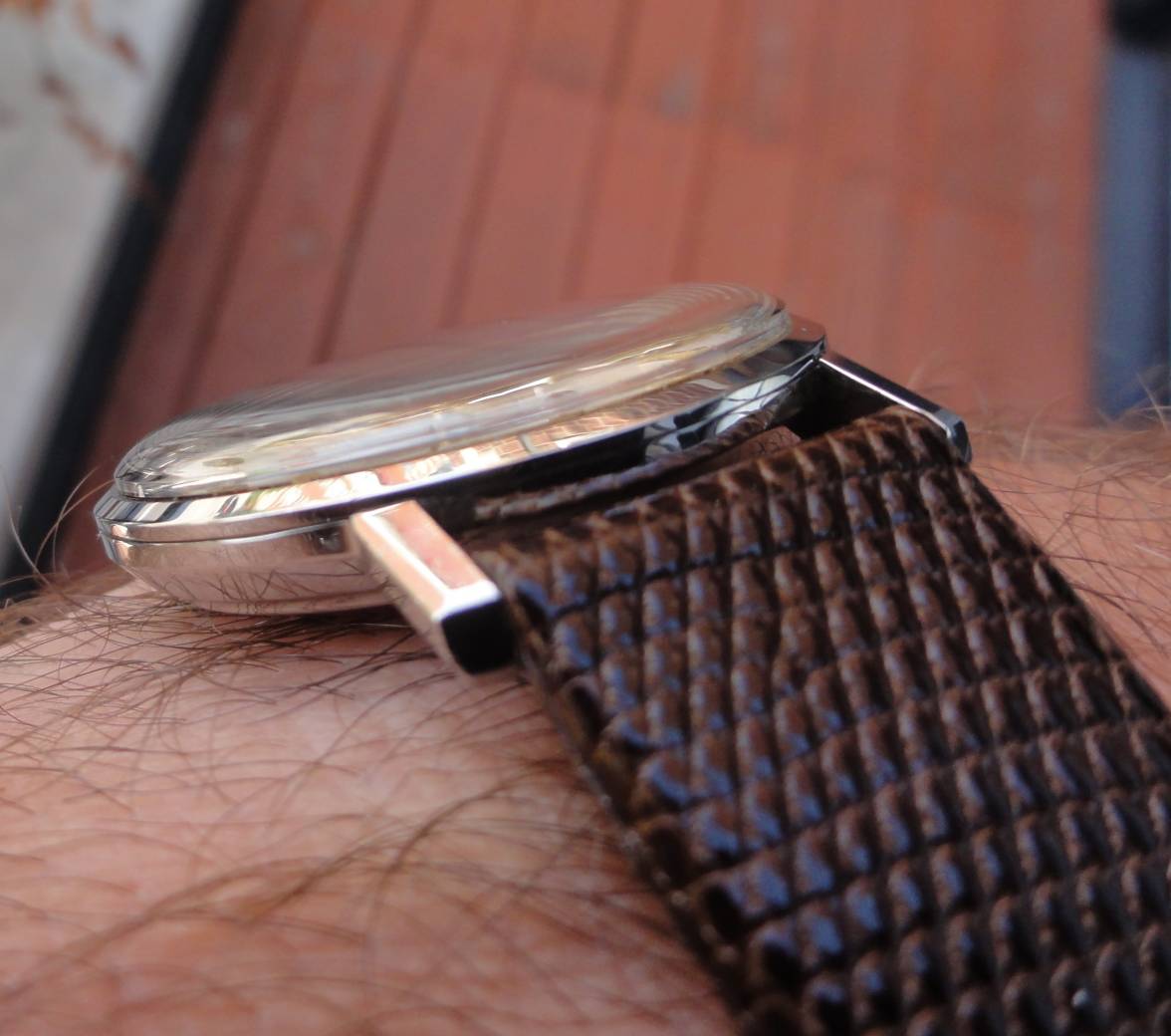 Wrist Shot, 3.JPG