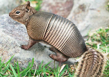 Capture d’écran 2016-08-16 à 16.54.06.png