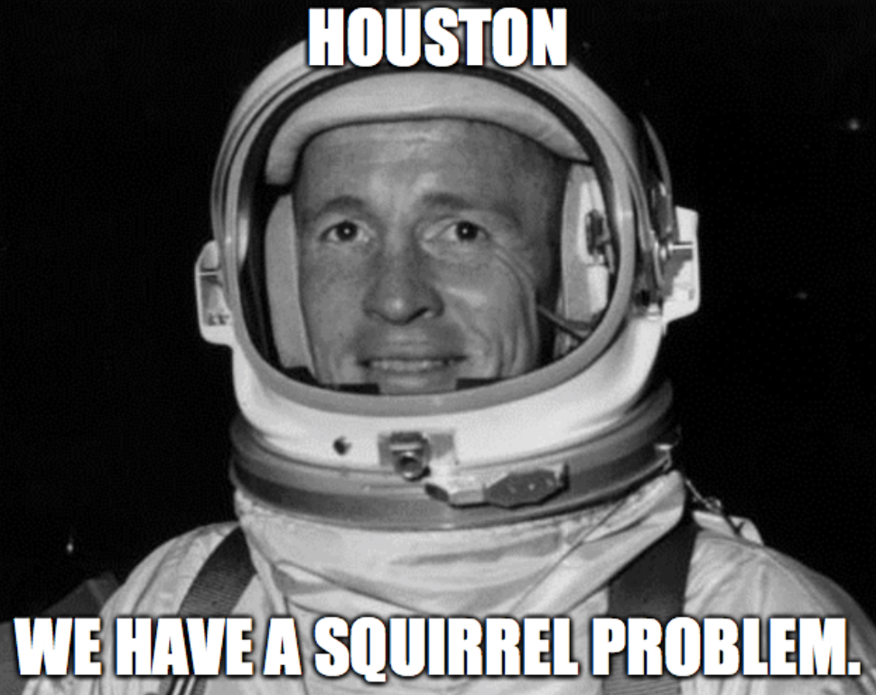 Screen Shot 2016-08-16 at 10.52.40 AM.png