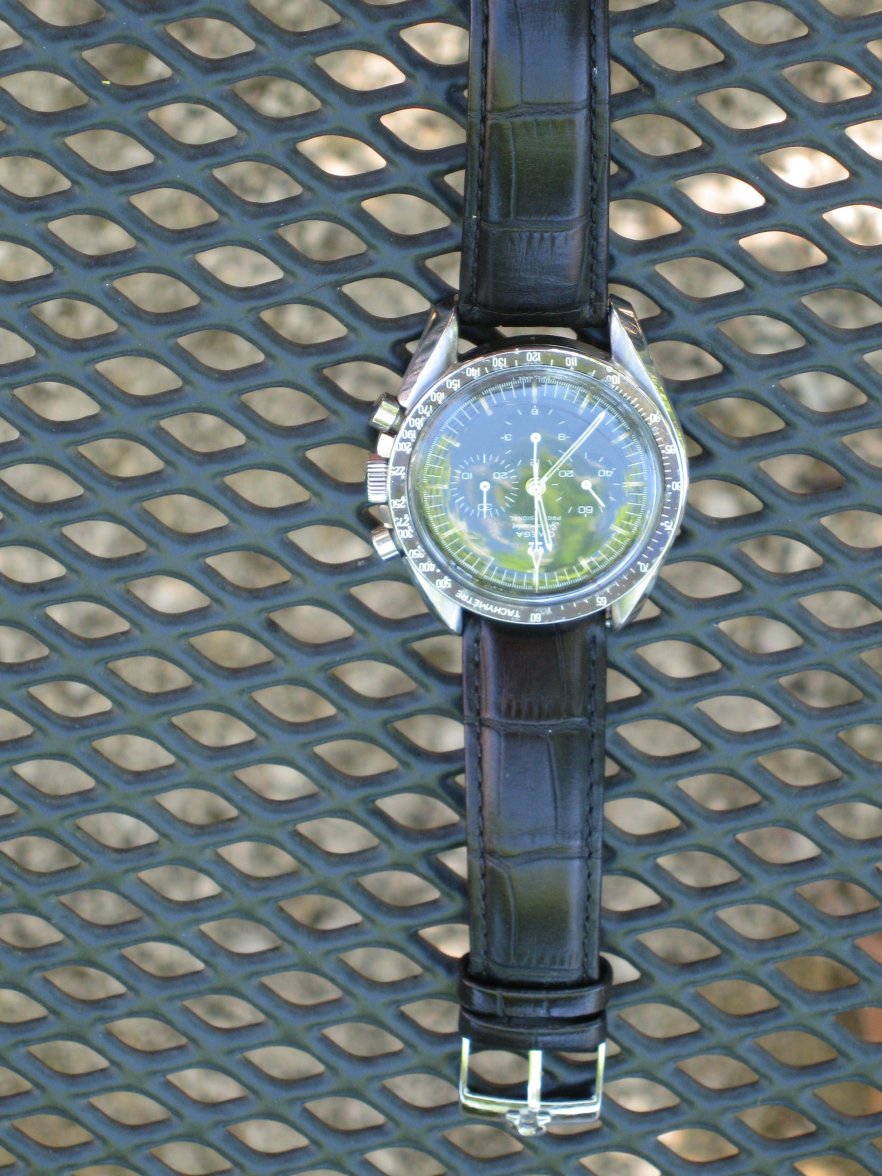 IMG_8437.JPG IMG_8437.JPG