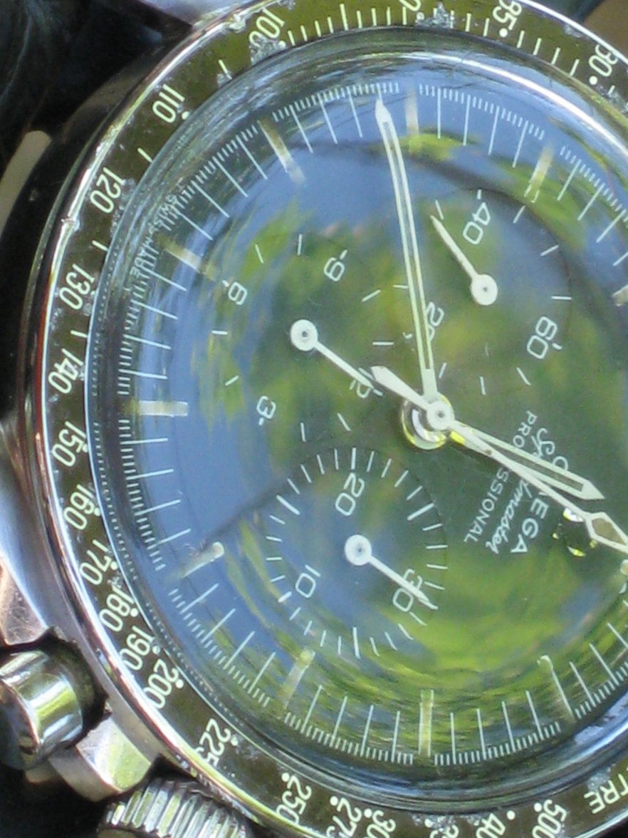 IMG_8443.JPG IMG_8443.JPG