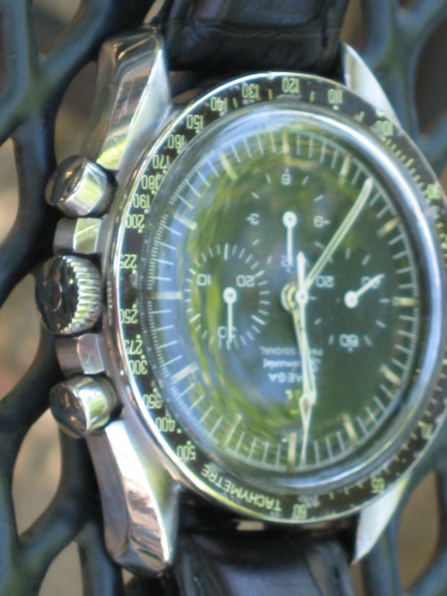 IMG_8436.JPG IMG_8436.JPG