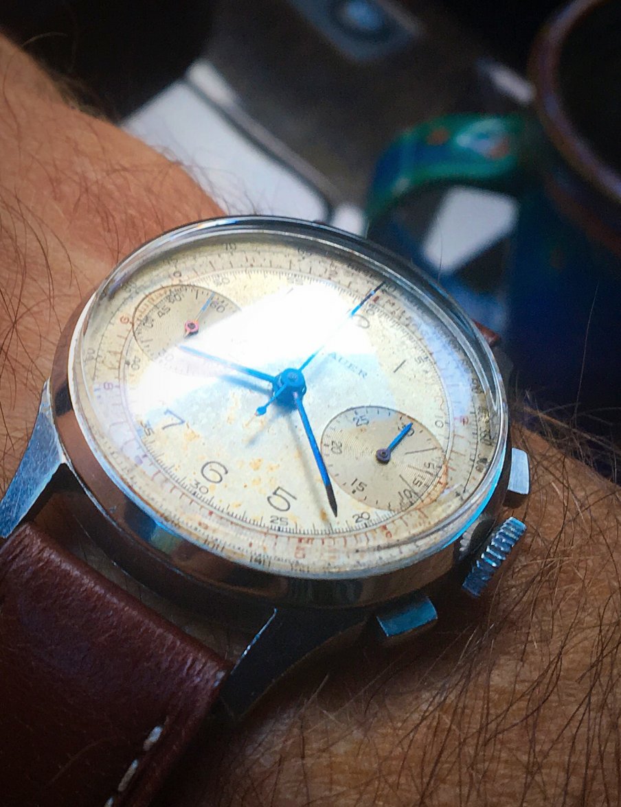 Photo Aug 17, 8 25 19 AM.jpg