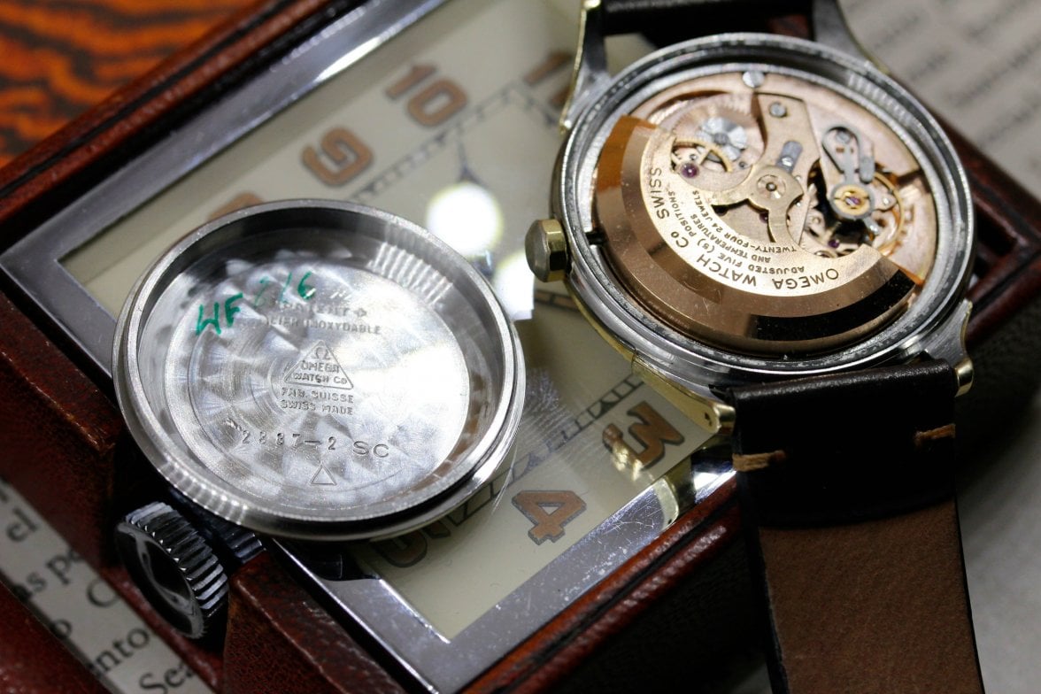 _MG_8491.JPG _MG_8491.JPG