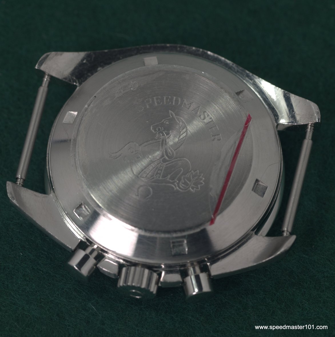 P9020017.jpg P9020017.jpg