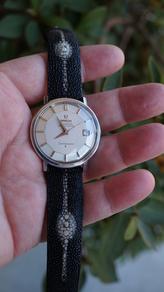 168.004 on StingRay (Copy).JPG