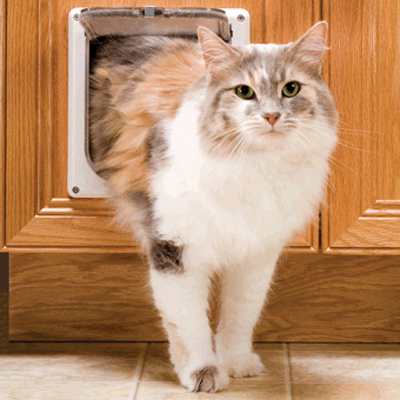 catflap_standard.gif