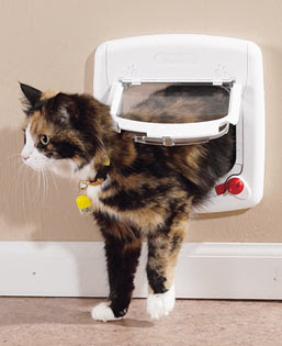 CAT FLAP.jpg