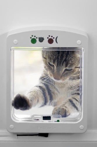 catflap (1).jpg