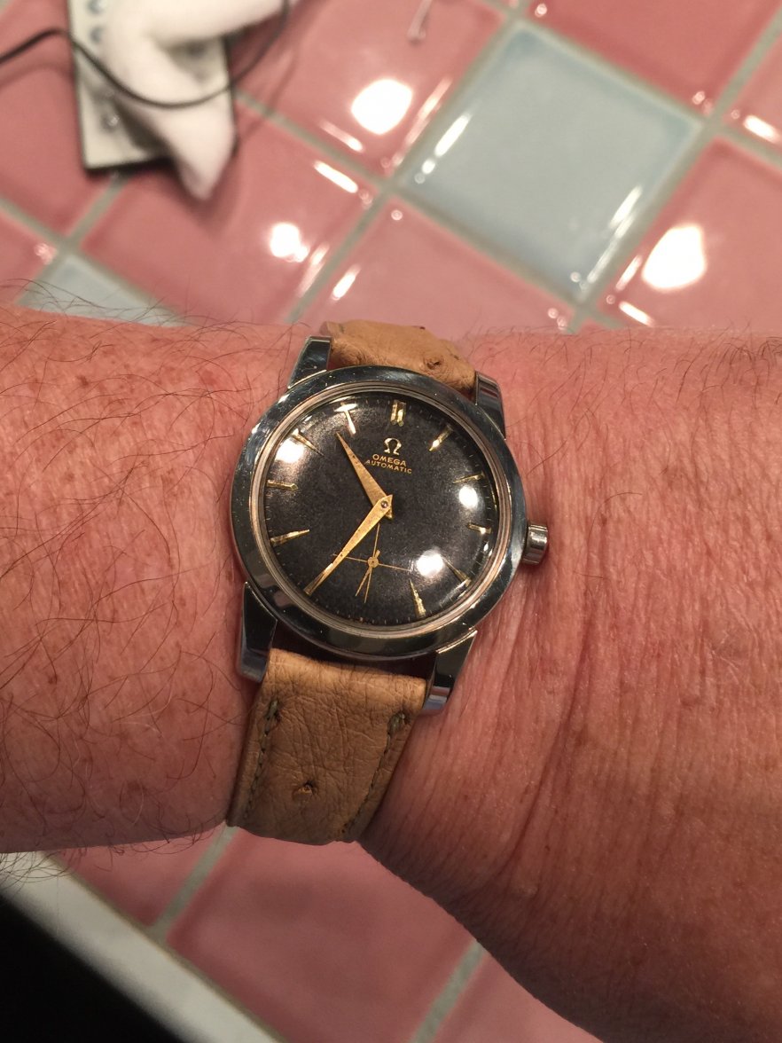 image.jpeg image.jpeg