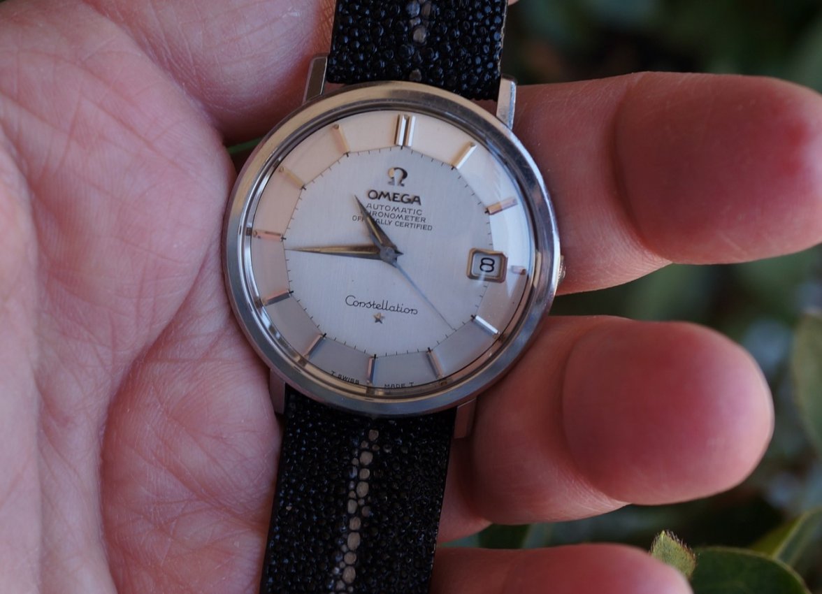 Hidden crown on StingRay (Copy).JPG