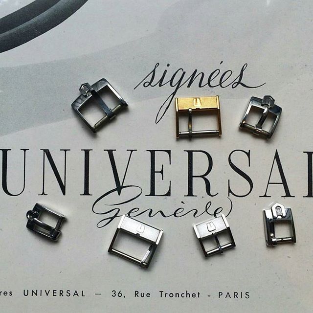 13151041_1739914106225729_619384157_n.jpg 13151041_1739914106225729_619384157_n.jpg