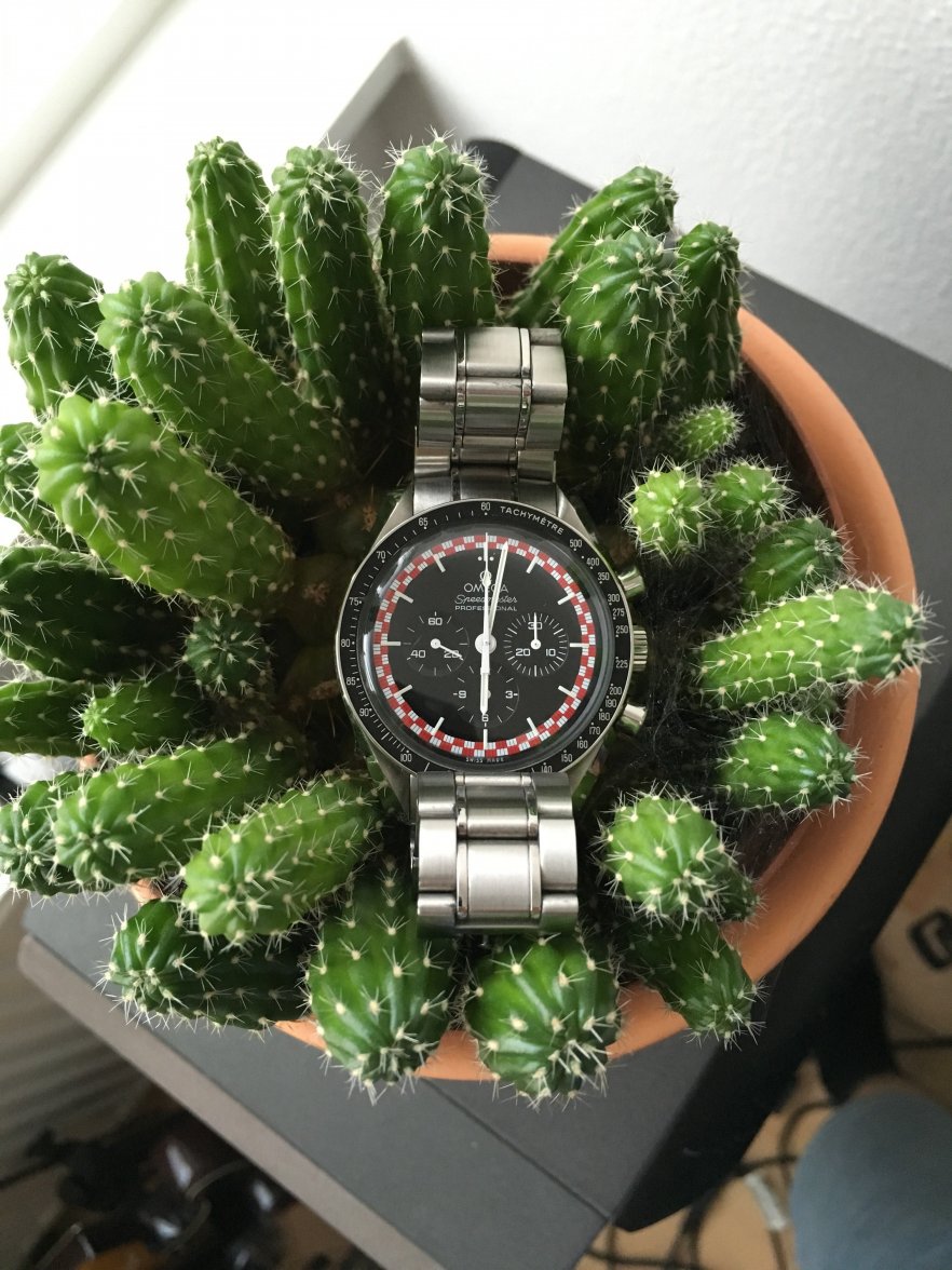 Photo 24-09-16 18 01 41.jpg