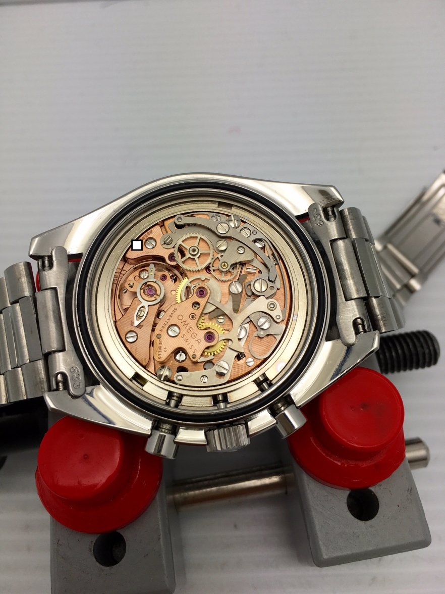 FullSizeRender (3).jpg