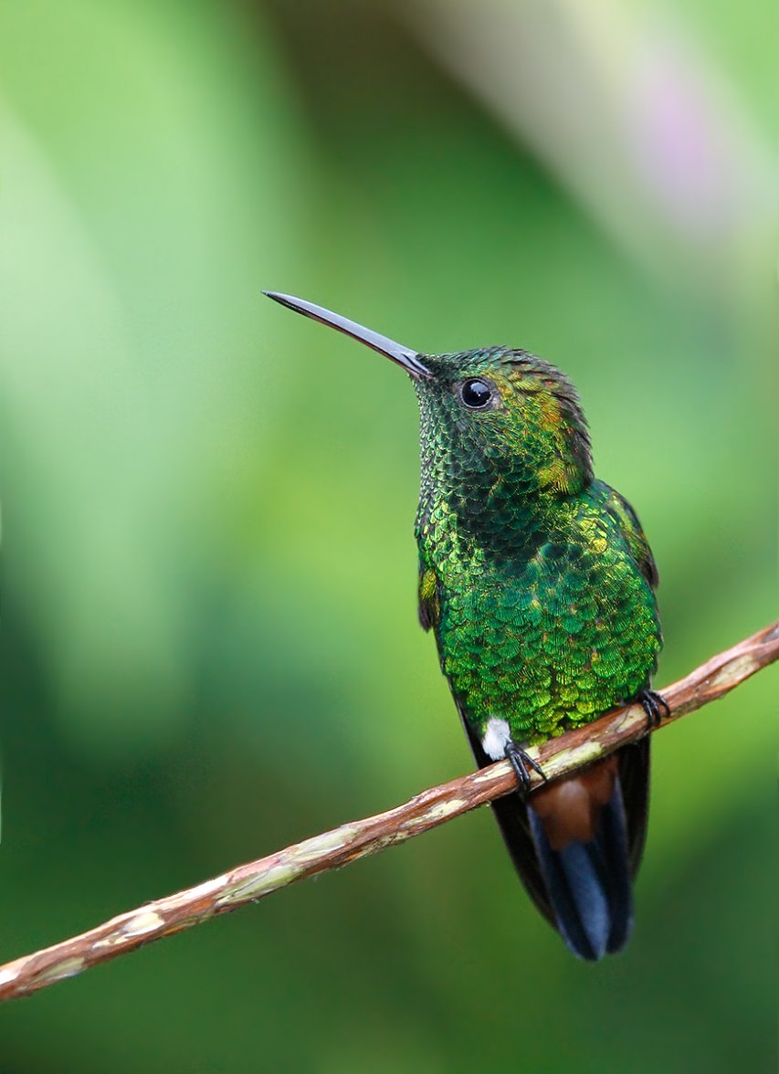 _B3R0290_2nPreprina.jpg _B3R0290_2nPreprina.jpg