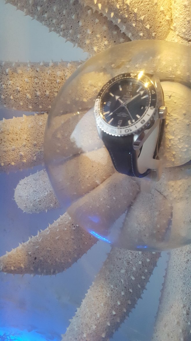 20160819_170112.jpg 20160819_170112.jpg