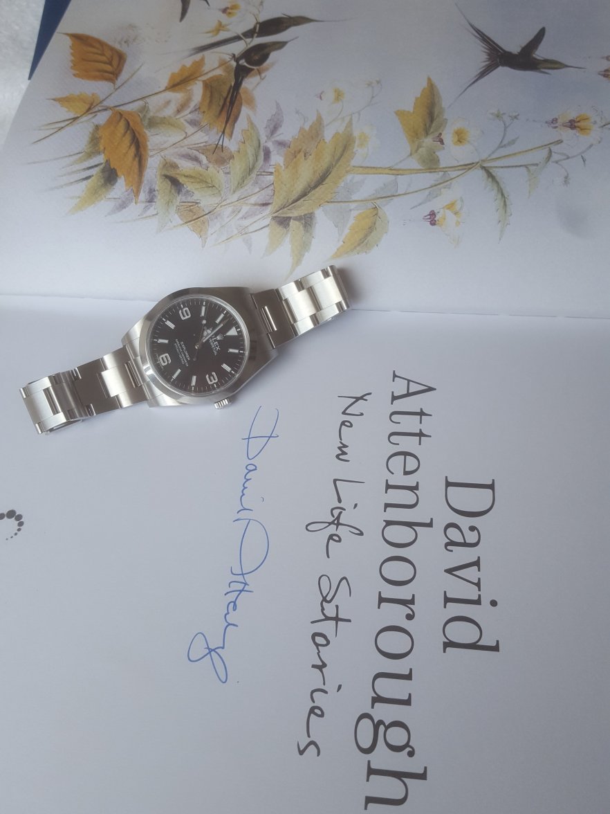 20161027_105703.jpg 20161027_105703.jpg