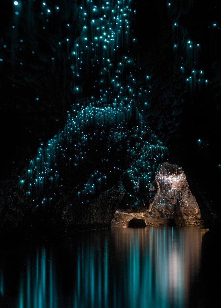 Ruakuri_Glowworms_Waitomo-SJP-4-5743b138827ba__880.jpg Ruakuri_Glowworms_Waitomo-SJP-4-5743b138827ba__880.jpg