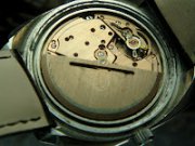 DSC08443.JPG