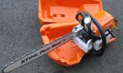 stihl and alaska 002.JPG