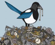 magpie.jpg
