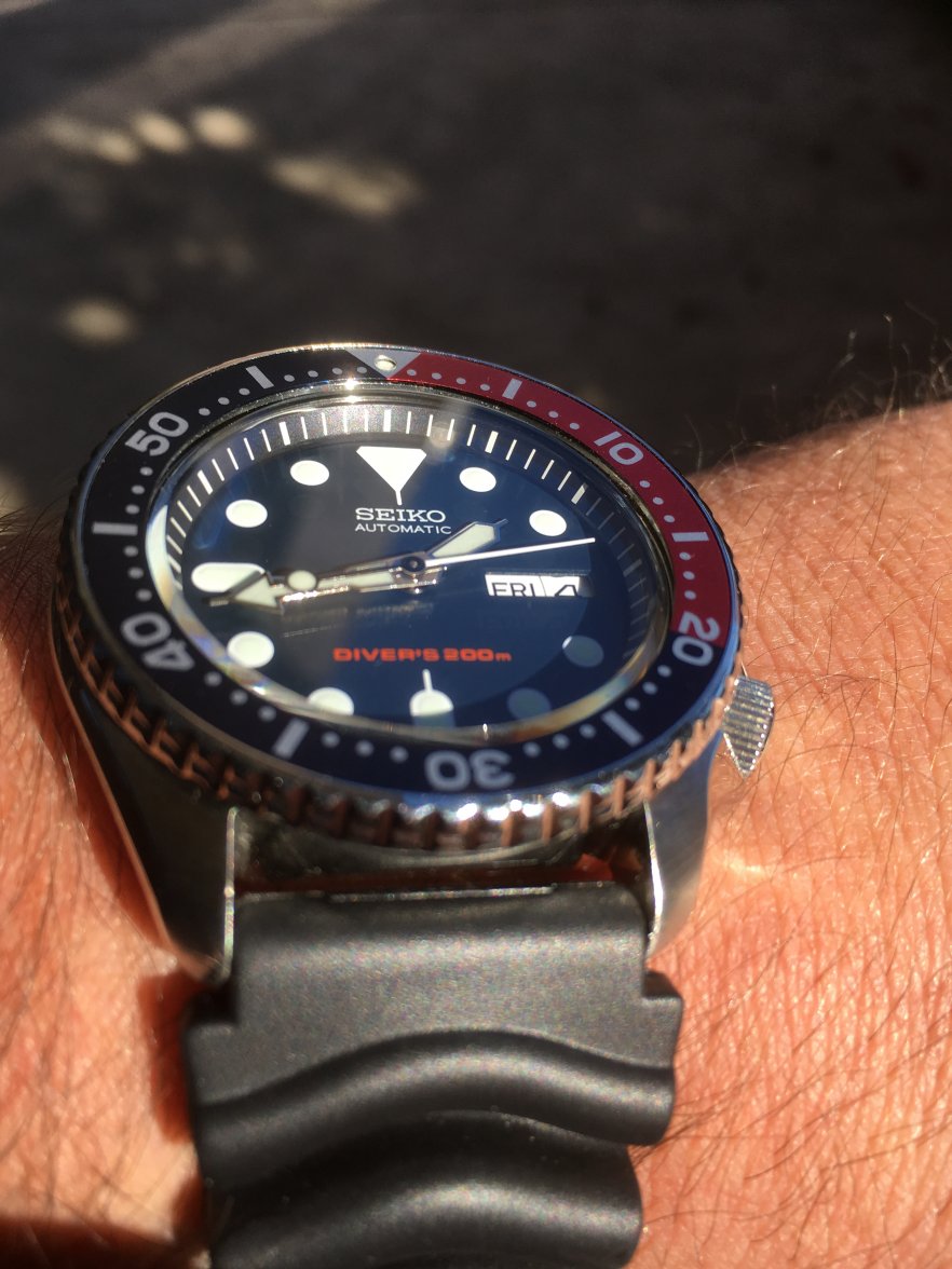 skx1.JPG