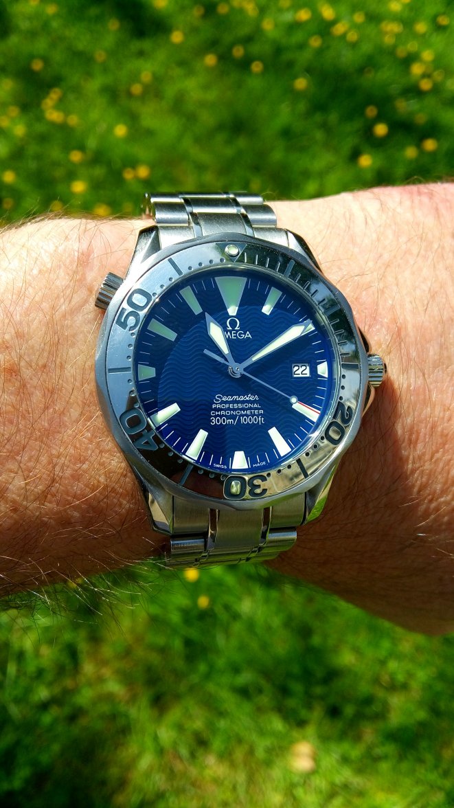 Sunny Blue.jpg Sunny Blue.jpg