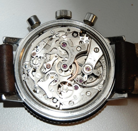 Croton skymaster.jpg