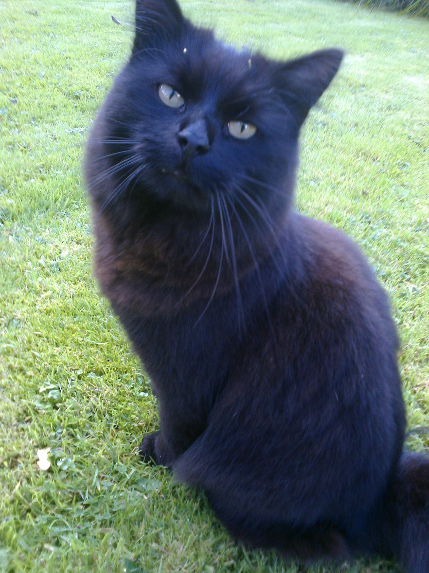 Marco 3 Oct 2014.jpg