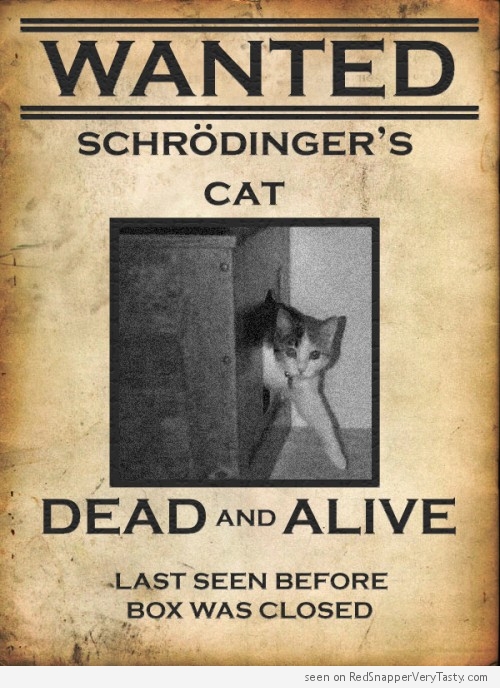 schrodinger-cat-wanted-poster-dead-alive-box-500x688.jpg