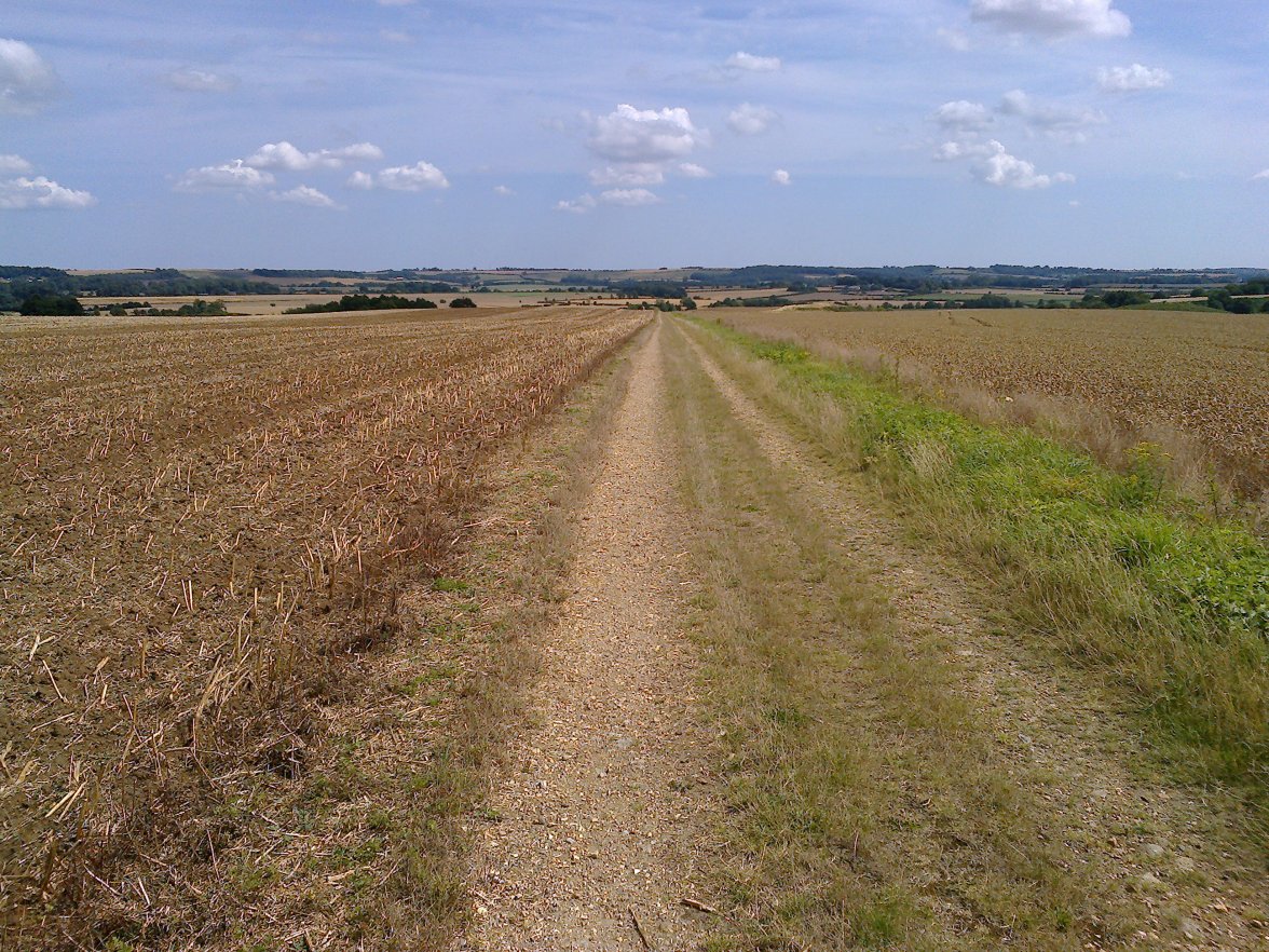 Walk no 3 Aug 2014 (3).jpg