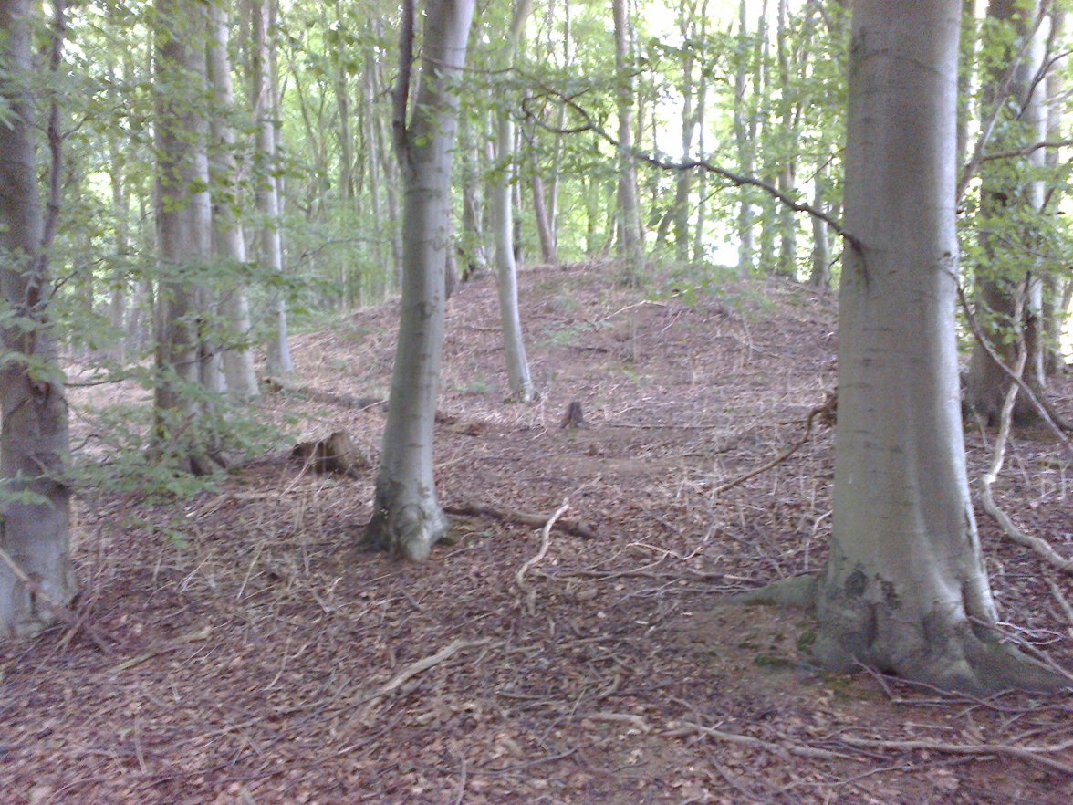 Walk no 22 July 2014 (48).jpg