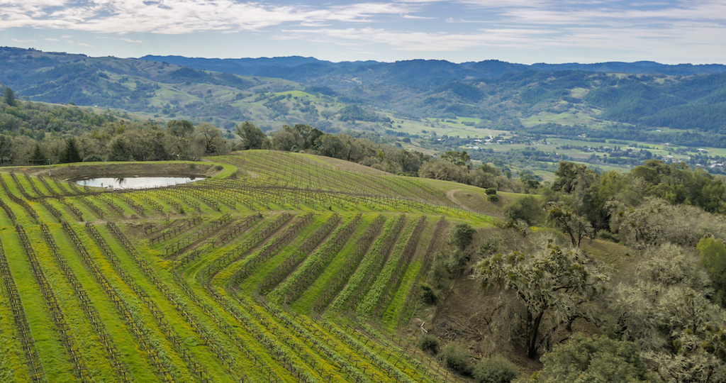 Anderson-Valley-Vineyard_Aerials-2.jpg
