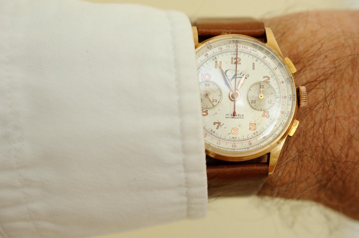 Jolus L48_120216 4773.jpg