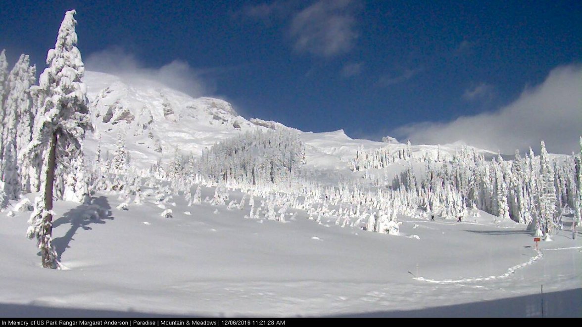 paradise webcam 2016-12-06-11,21am.jpg