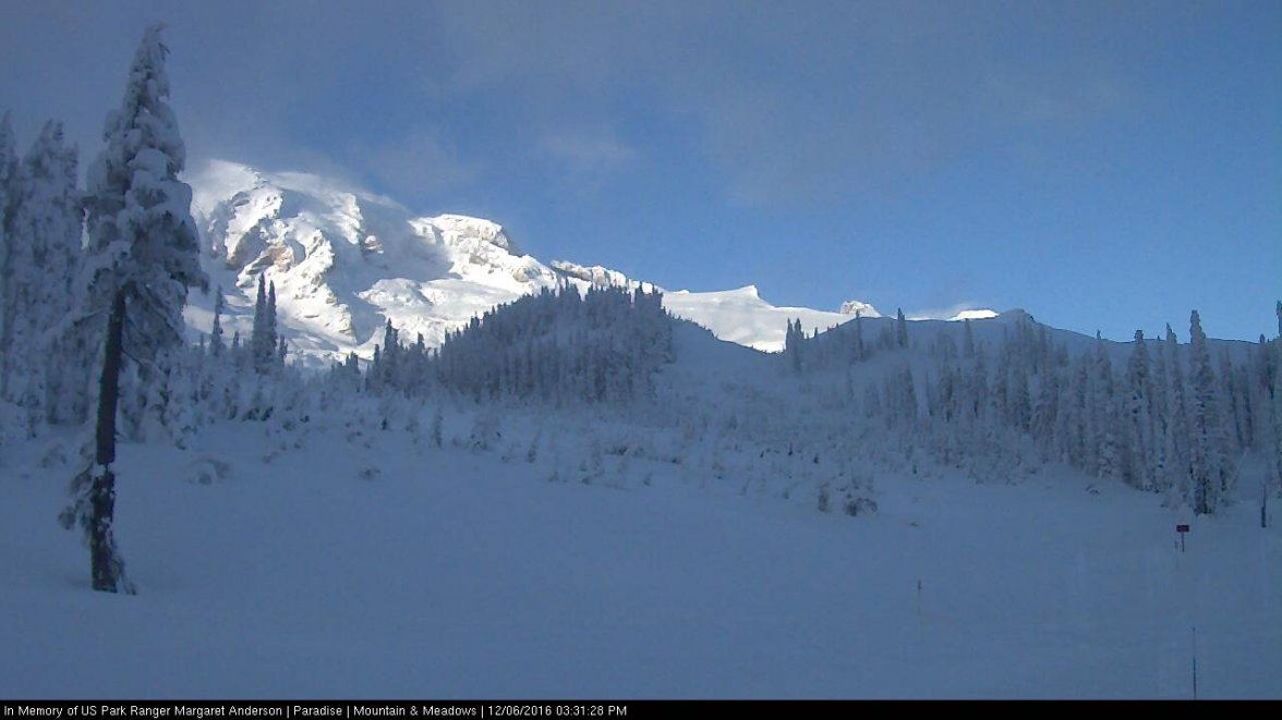 paradise webcam 2016-12-06-3,31pm.jpg