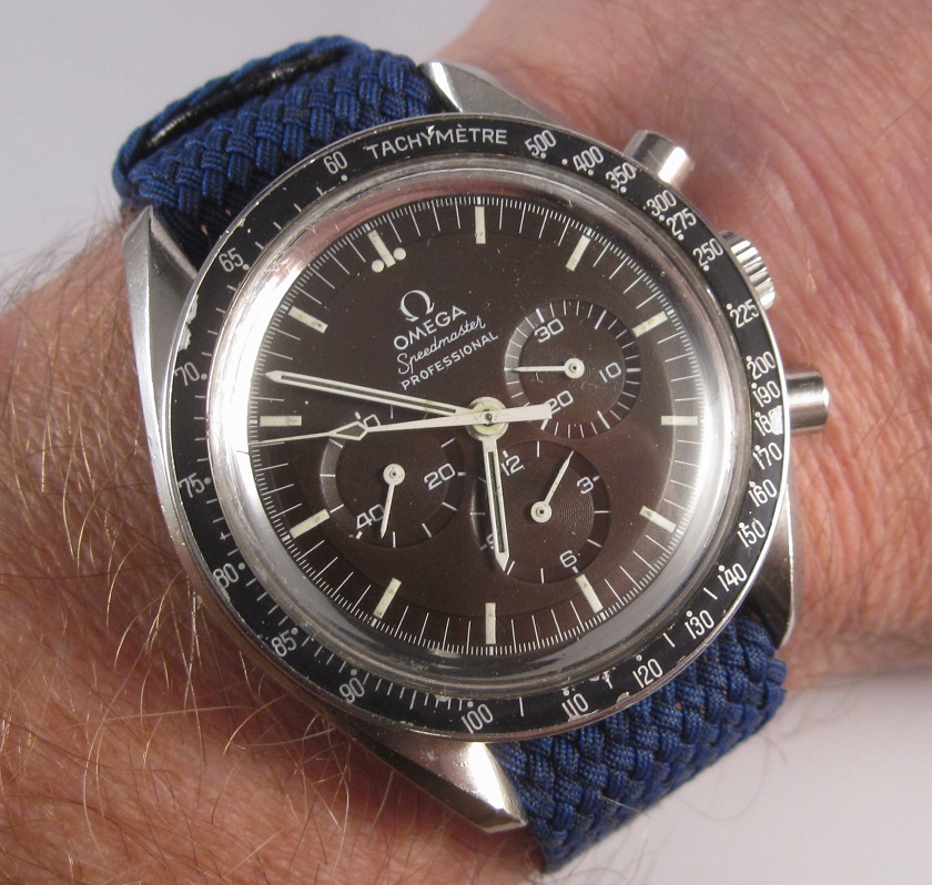 Chocolate speedy.jpg