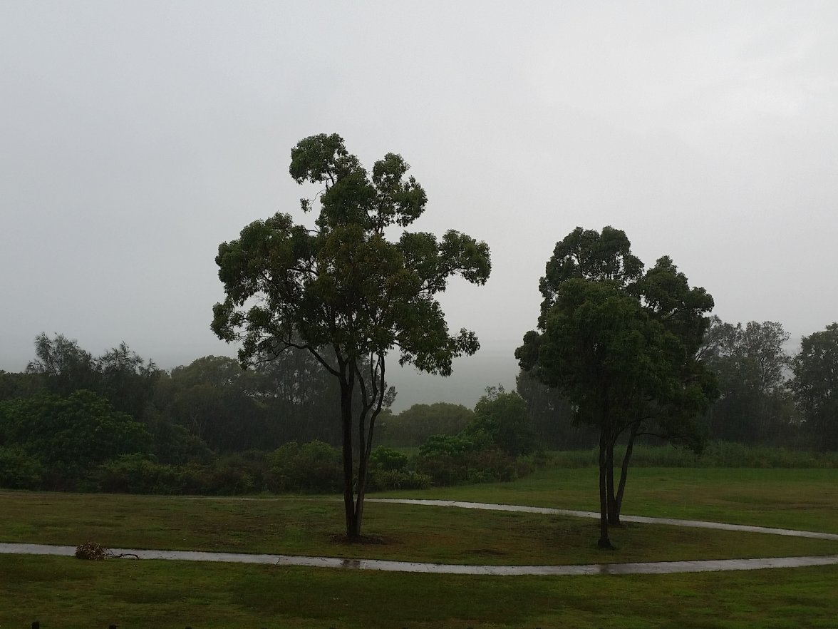 20161225_103622.jpg 20161225_103622.jpg