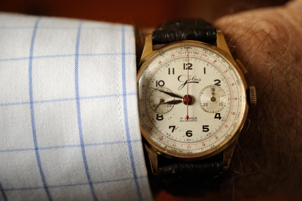 Jolus L48_010617 4962.jpg