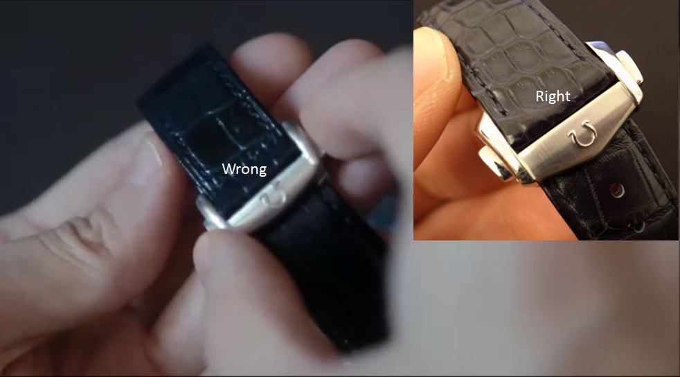 8 clasp logo outer.jpg