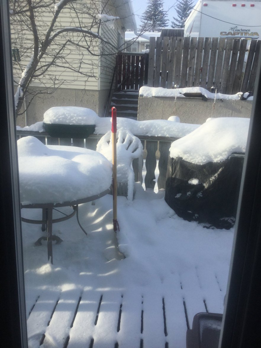 IMG_1646.JPG IMG_1646.JPG