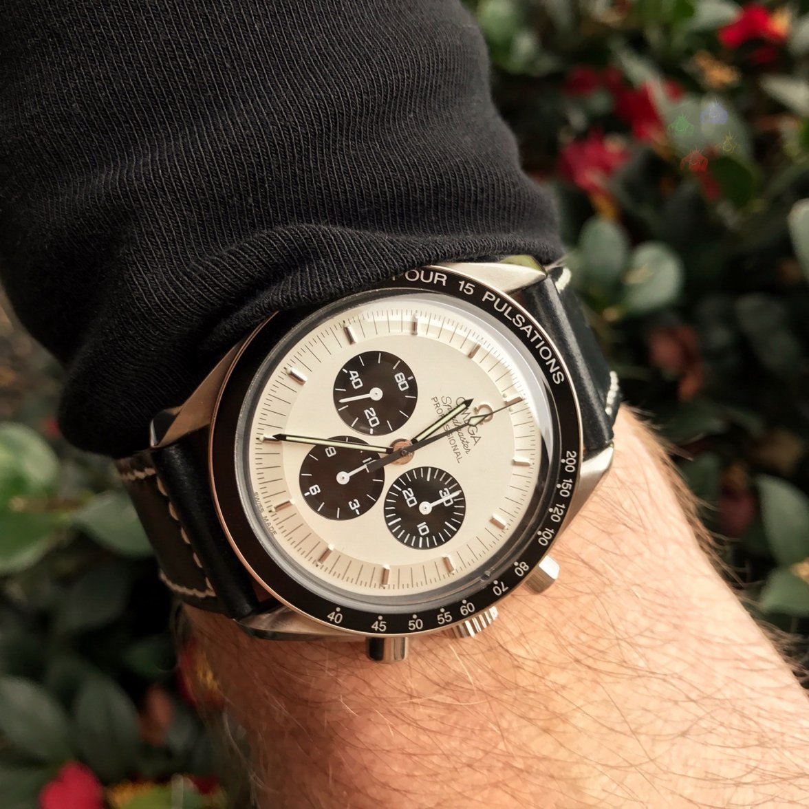 IMG_5601.JPG IMG_5601.JPG