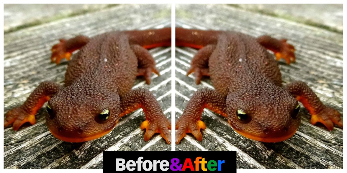 Image 81.jpg Image 81.jpg