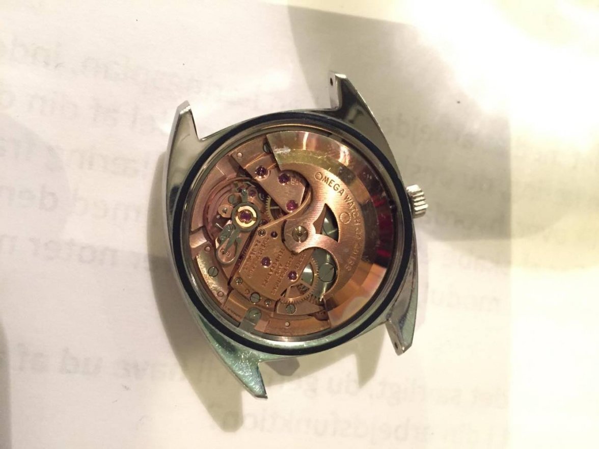 16145374_10154298653822947_346640595_o.jpg 16145374_10154298653822947_346640595_o.jpg