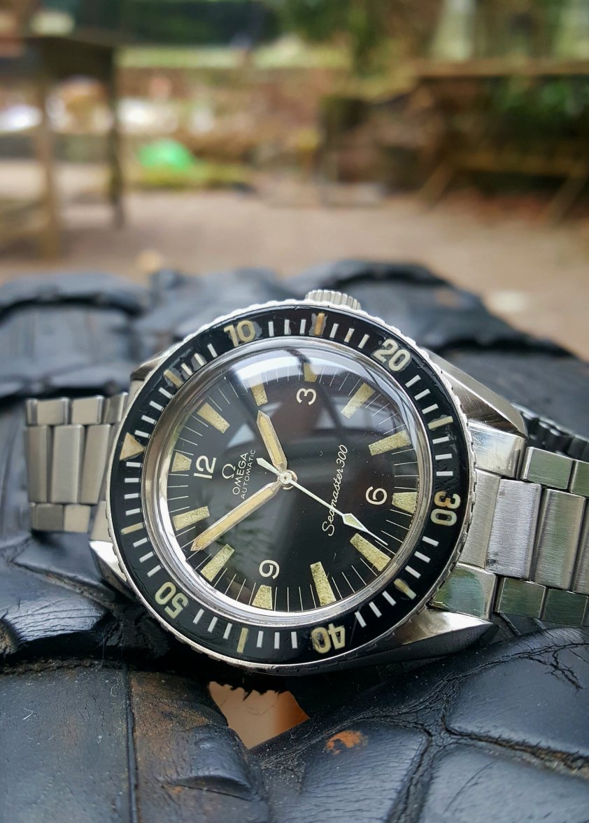 2017.01.18 12.21.20.jpg