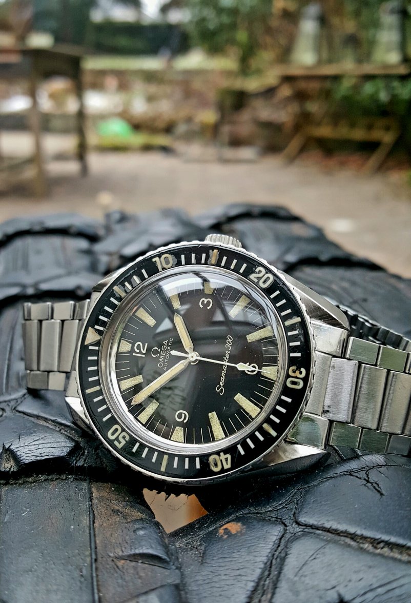 2017.01.18 12.21.17.jpg