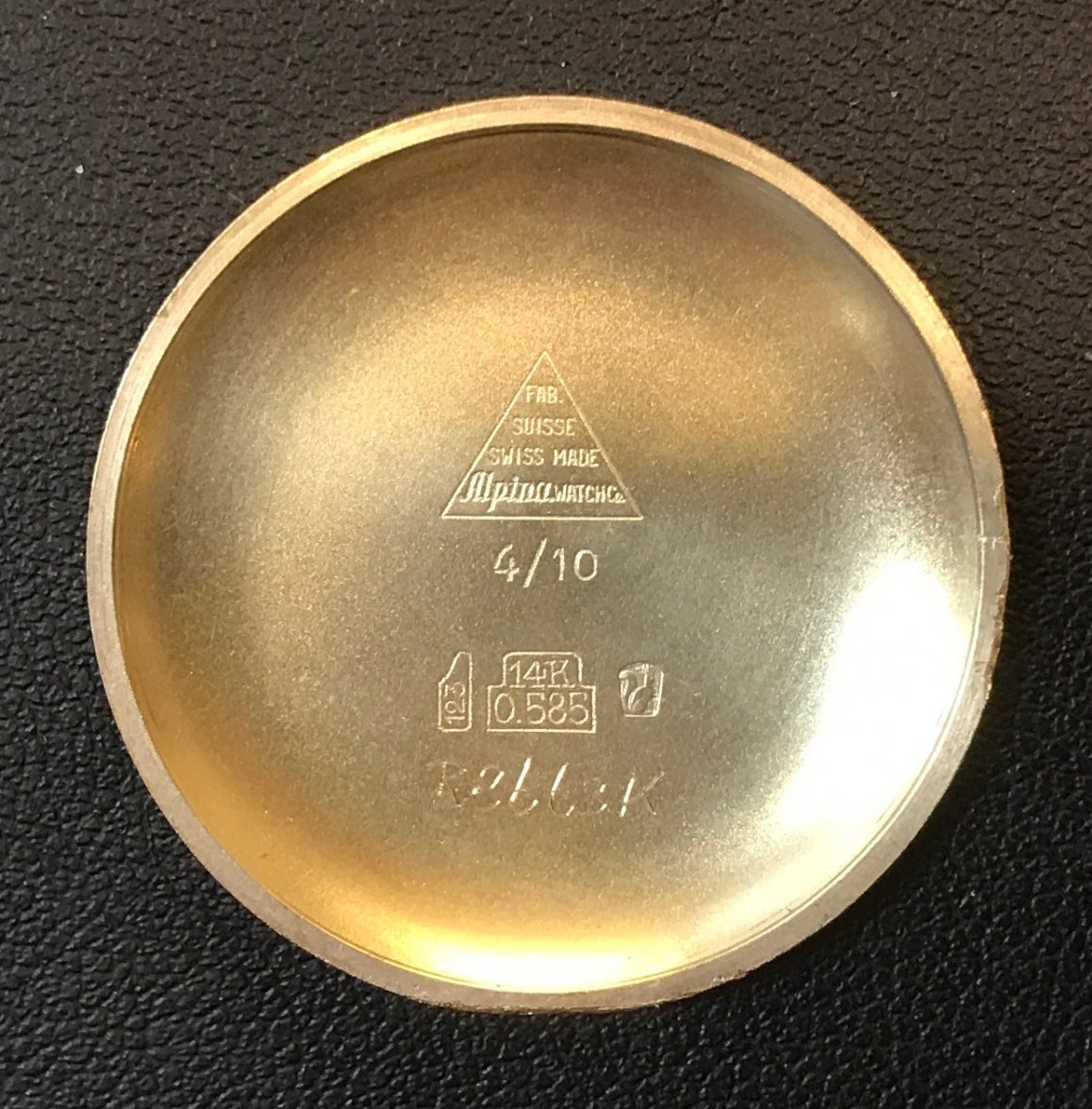 Alpina inside back.jpg