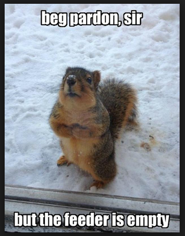 Screen Shot 2017-01-28 at 3.47.42 PM.png